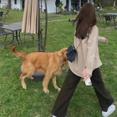 小飞侠彼得潘